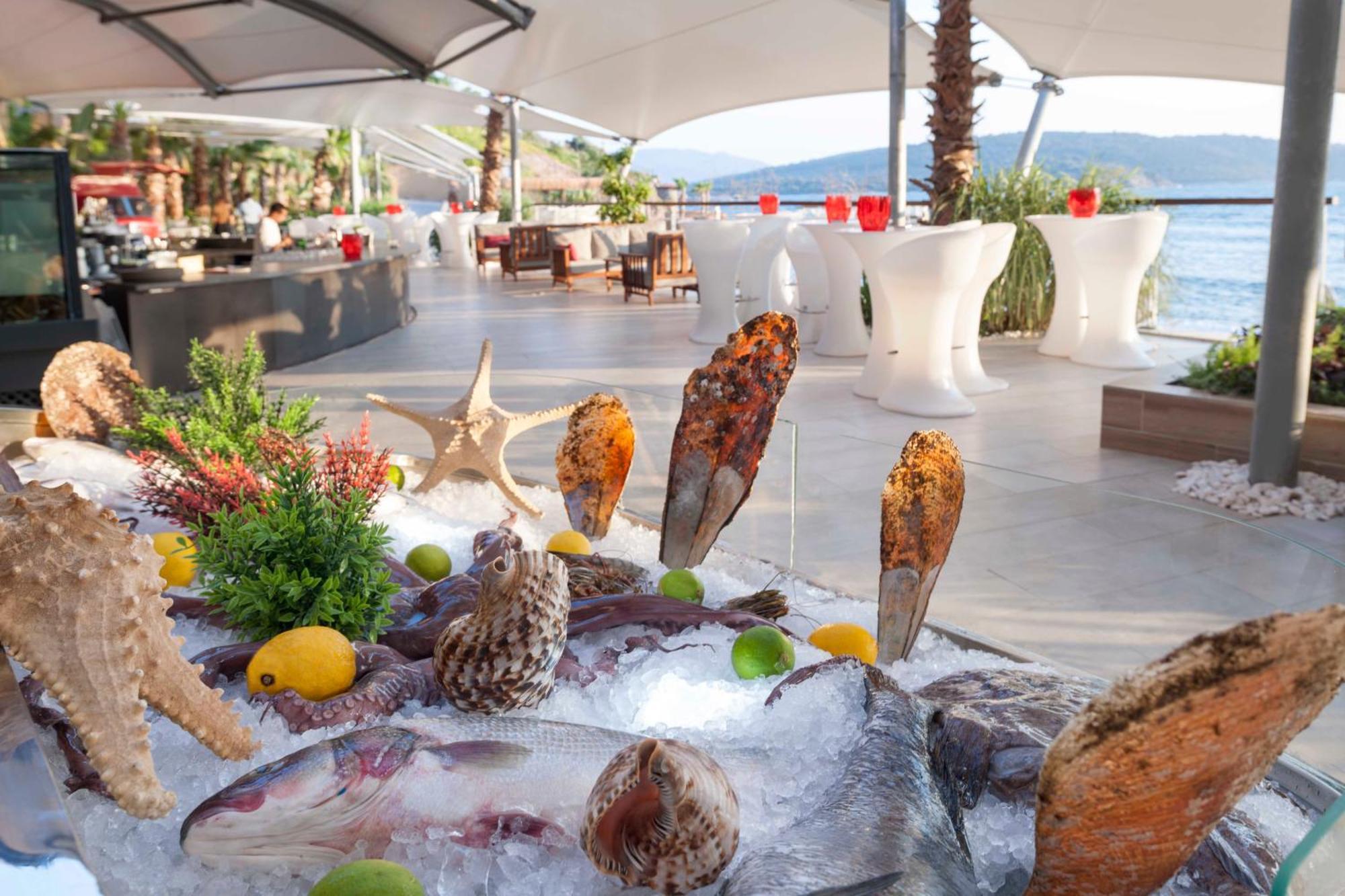 Resort Le Meridien Bodrum Beach Resort 5*